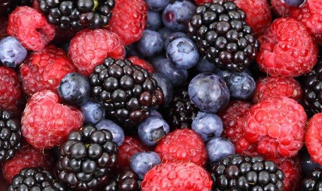 alimentation-berries